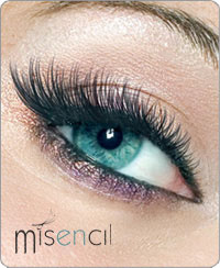 Portfolio Misencil