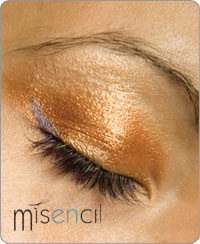 Portfolio Misencil