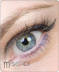 Portfolio Misencil