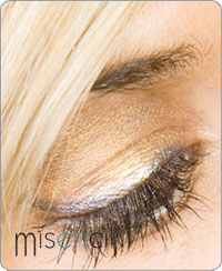 Portfolio Misencil